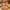 the pizza company times city 4