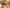 top 6 quan oc ngon nhat quan nam tu liem 3177 2
