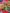top 9 quan oc chat luong duoc san don nhieu nhat tai ba dinh 3072 11