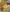 review khrua baan thai ngoc lam thien duong am thuc thai 2